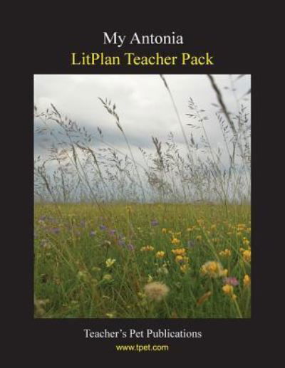 Cover for Mary B Collins · Litplan Teacher Pack (Paperback Book) (1996)