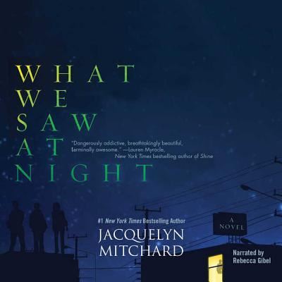 What We Saw at Night - Jacquelyn Mitchard - Music - Blackstone Publishing - 9781620647127 - January 8, 2013