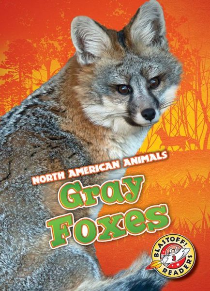 Gray Foxes - Rebecca Sabelko - Books - Bellwether Media - 9781626179127 - 2019