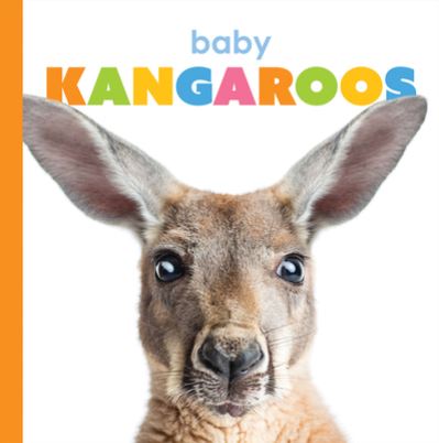 Cover for Kate Riggs · Baby Kangaroos (Paperback Book) (2020)