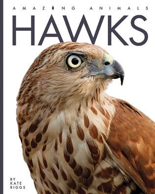 Cover for Kate Riggs · Hawks (Book) (2022)