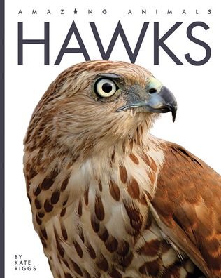 Cover for Kate Riggs · Hawks (Buch) (2022)