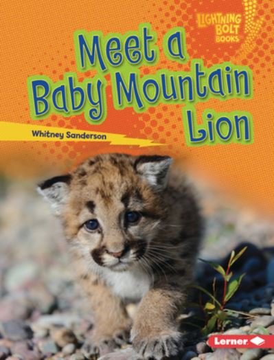 Cover for Whitney Sanderson · Meet a Baby Mountain Lion (Bok) (2023)