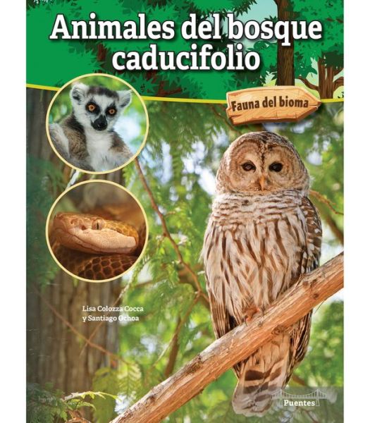 Cover for Lisa Colozza Cocca · Animales Del Bosque Caducifolio (Book) (2023)