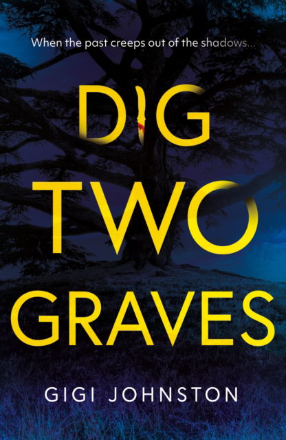 Cover for Gigi Johnston · Dig Two Graves (Paperback Book) (2024)