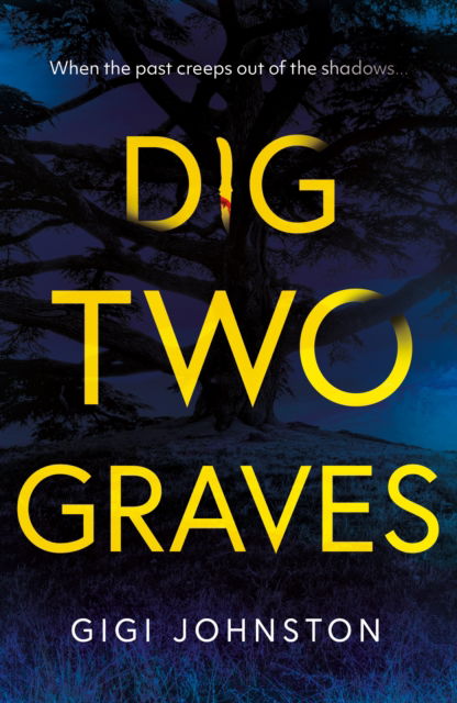 Dig Two Graves - Gigi Johnston - Books - Troubador Publishing - 9781805145127 - September 28, 2024