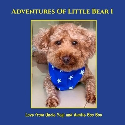 Cover for Boo Boo Auntie Boo Boo · Adventures of Little Bear 1 (Paperback Book) (2021)