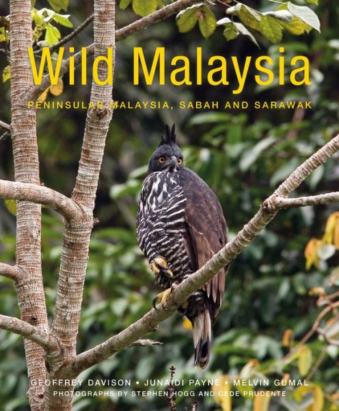 Wild Malaysia (2nd edition) - Geoffrey Davison - Books - John Beaufoy Publishing Ltd - 9781912081127 - August 29, 2019