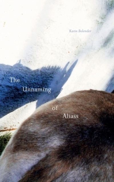 Cover for Karin Bolender · The Unnaming of Aliass (Taschenbuch) (2020)