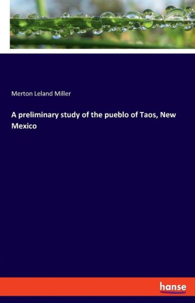 Cover for Merton Leland Miller · A preliminary study of the pueblo of Taos, New Mexico (Paperback Book) (2019)