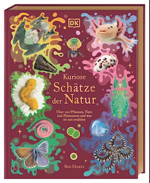 Cover for Ben Hoare · Kuriose Schätze der Natur (Book) (2024)