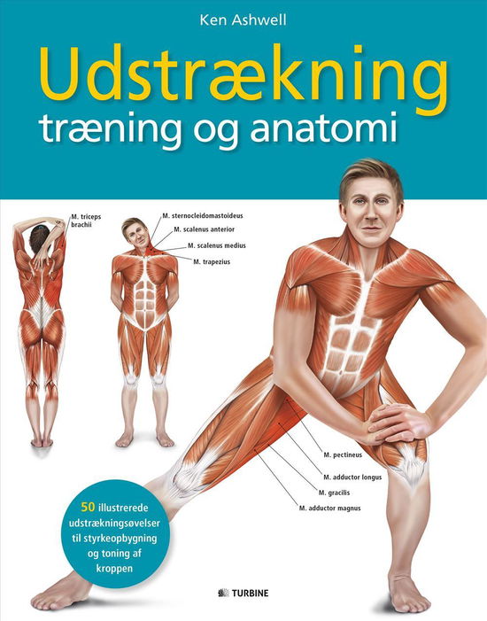 Cover for Ken Ashwell · Udstrækning, træning og anatomi (Sewn Spine Book) [1º edição] (2016)