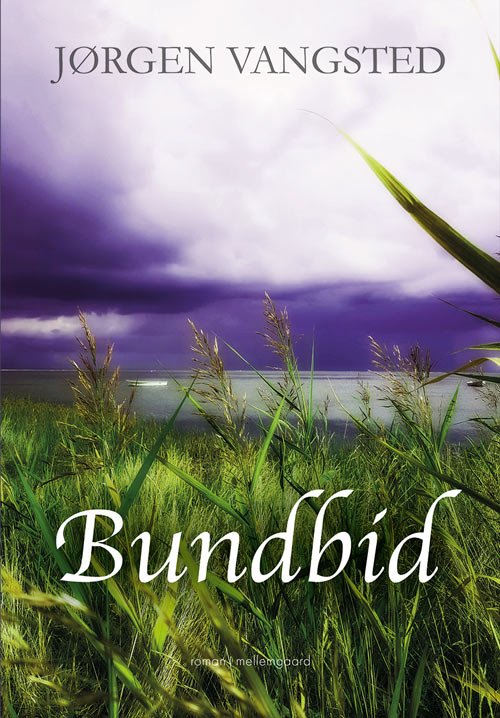 Cover for Jørgen Vangsted · Bundbid (Buch) [1. Ausgabe] (2018)