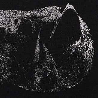 Cover for Demon Head · Viscera (CD) (2021)