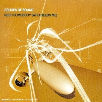 Cover for Echoes Of Sound · Echoes Of Sound - Need Somebody (who Needs Me) (CD)