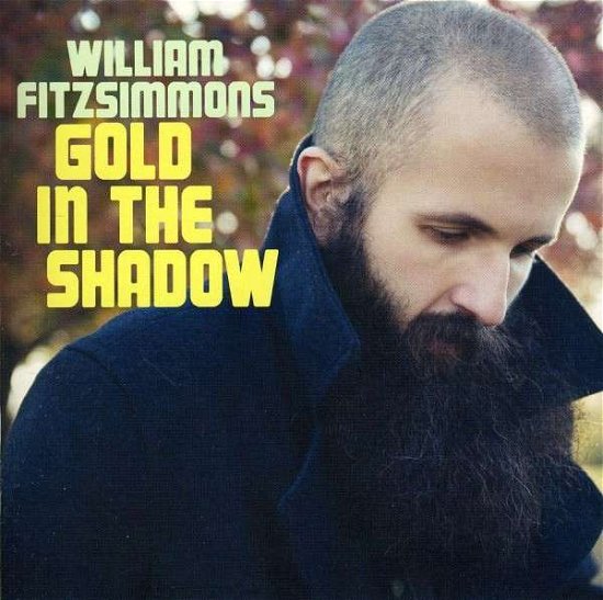 Gold in the Shadow - William Fitzsimmons - Music - FOLK - 0067003092128 - March 22, 2011