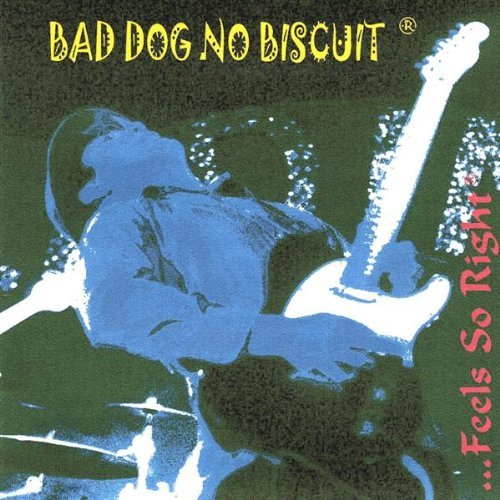 Feels So Right - Bad Dog No Biscuit - Musik - Badog - 0067061272128 - 18. september 2001