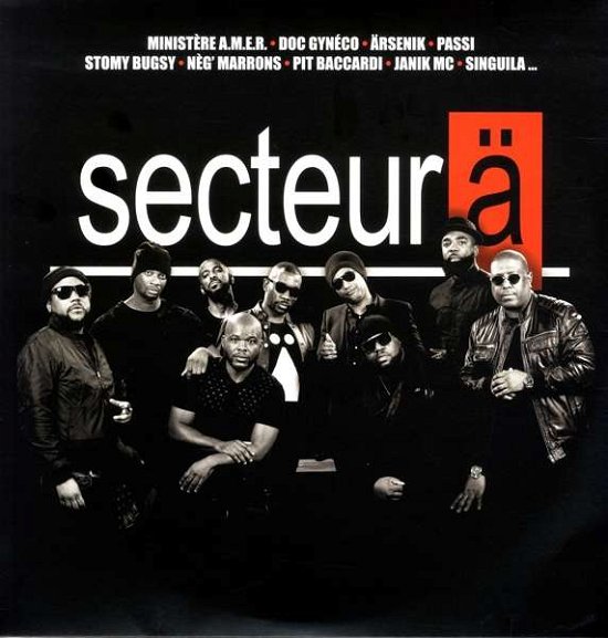 Best of Secteur Ä - Secteur Ä - Musik - WMI - 0190295678128 - 6 juli 2018
