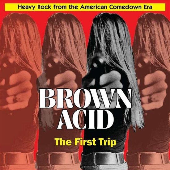Cover for Various Artists · Brown Acid: The First Trip (CD) (2015)