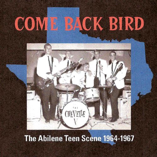 Various Artists · Come Back Bird the Mcallen. T (CD) (2024)