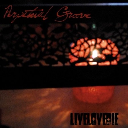 Cover for Perpetual Groove · Live Love Die (CD) (2007)