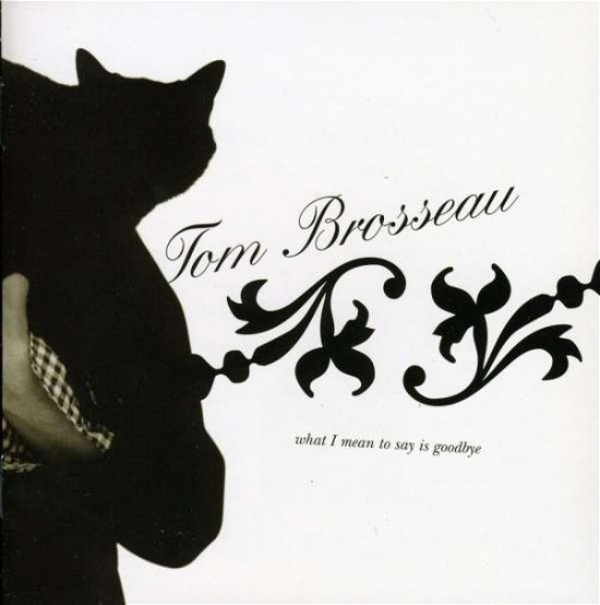 Cover for Tom Brosseau · What I Mean to Say is Goo (CD) (2005)