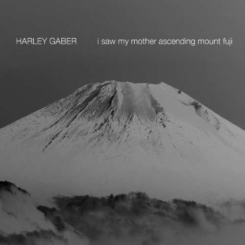 Cover for Gaber / Gilbert / Cummisky · I Saw My Mother Ascending Mount Fuji (CD) (2010)