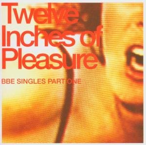 Twelve Inches Of Pleasure - V/A - Música - ! K7 - 0730003105128 - 28 de febrero de 2005