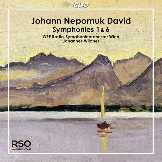 Symphonies 1 & 6 - David / Orf Radio-symphonieorchester Wien - Música - CPO - 0761203774128 - 25 de marzo de 2014