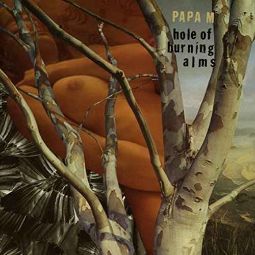 Cover for Papa M · Hole Of Burning Alms (CD) (2014)