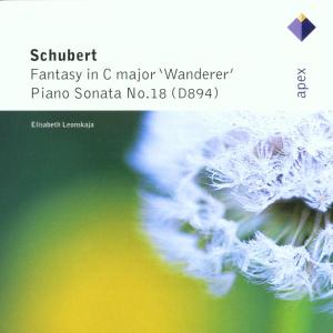 Schubert:  Wanderer Fantasy & - Leonskaja Elizabeth - Musik - WEA - 0809274083128 - 3. september 2014