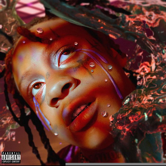 Cover for Trippie Redd · A Love Letter To You 4 (LP) (2020)