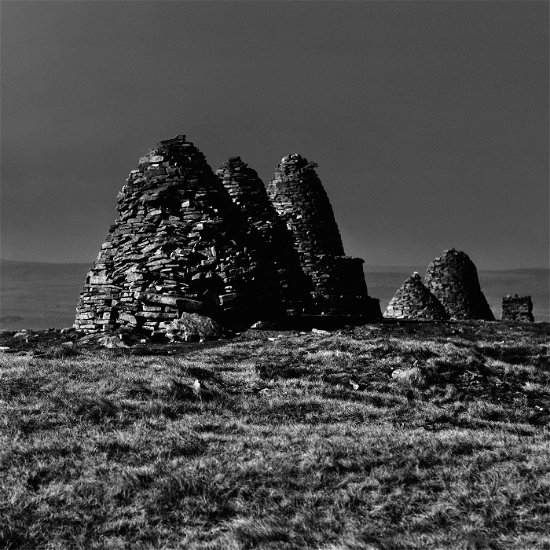 Cover for Craven Faults · Standers (CD) (2023)