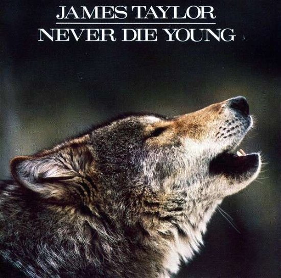 James Taylor-never Die Young - James Taylor - Musik - COLUMBIA - 0886972395128 - 31. juli 1990