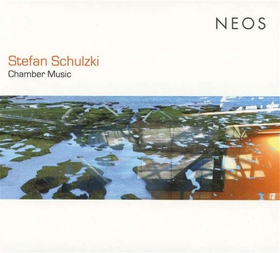 Cover for Vincent Neeb / Ju[mb]le / Evgeni Orkin &amp; Stefan Schulzki · Stefan Schulzki: Chamber Music (CD) (2019)