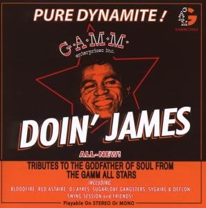 Cover for Various Artists · Doin James (CD) (2008)