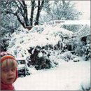 Cover for Clark Chris · Clarence Park (CD) (2004)