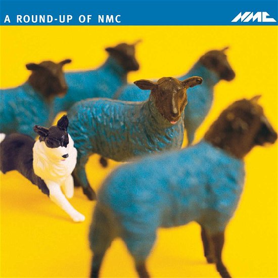 Cover for Various Artists · Round-up (CD) (2021)