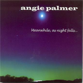 Cover for Angie Palmer · Meanwhile  As Night Falls (CD) (2008)