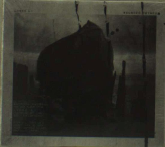 Cover for Lykke Li · Wounded Rhymes (CD) [Digipak] (2011)