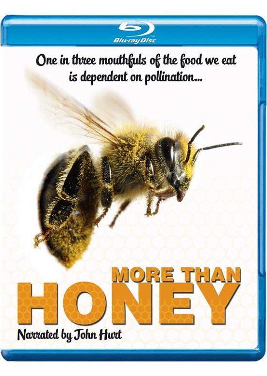 More Than Honey - More Than Honey - Movies - Eureka - 5060000701128 - November 11, 2013