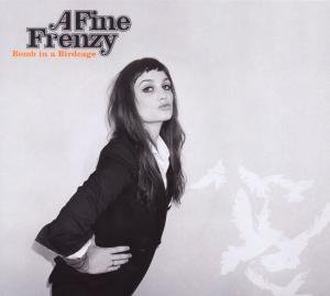Cover for Fine Frenzy · Bomb in a Birdcage (CD) (2009)