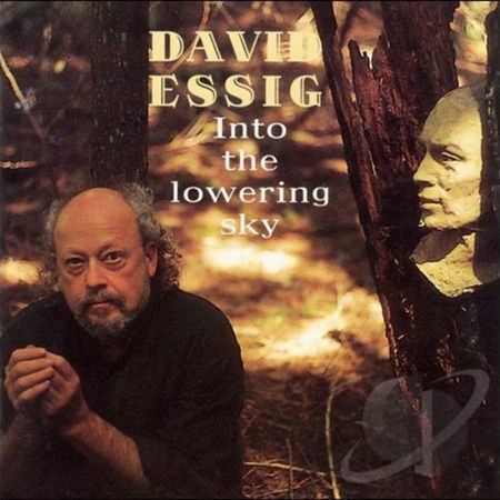 Cover for David Essig · David Essig - Into The Lowering Sky (CD) (2019)