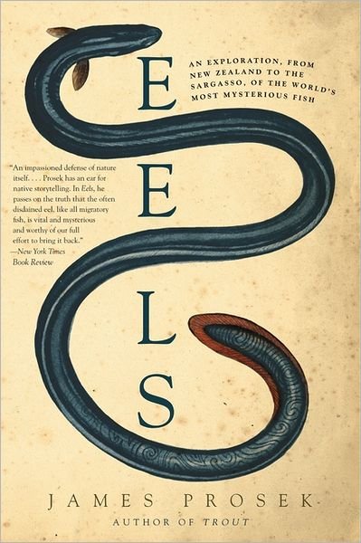 Cover for James Prosek · Eels: An Exploration, from New Zealand to the Sargasso, of the World's Most Mysterious Fish (Paperback Book) [Reprint edition] (2011)