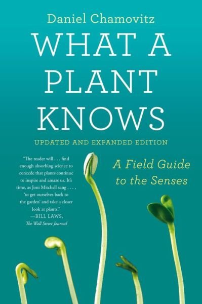 Cover for Daniel Chamovitz · What a Plant Knows: A Field Guide to the Senses: Updated and Expanded Edition (Paperback Bog) (2017)