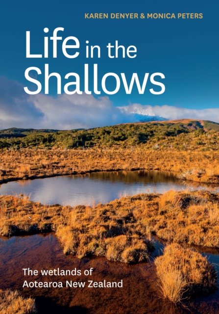 Cover for Karen Denyer · Life in the Shallows: The wetlands of Aotearoa New Zealand (Paperback Book) (2022)