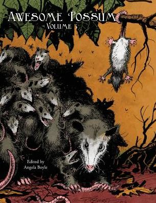 Awesome 'Possum, Volume 3 - Ursula Vernon - Books - Angela Boyle - 9780997011128 - January 15, 2017