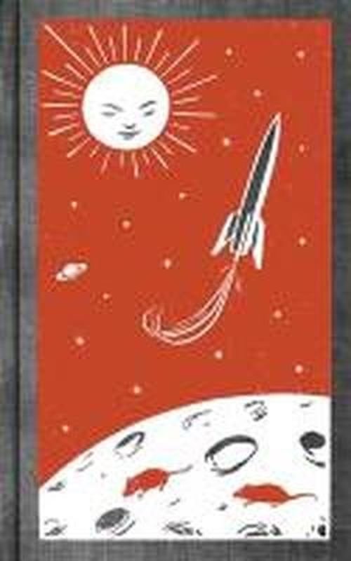 Cover for Sally Gardner · Maggot Moon Special Edition (Gebundenes Buch) (2013)