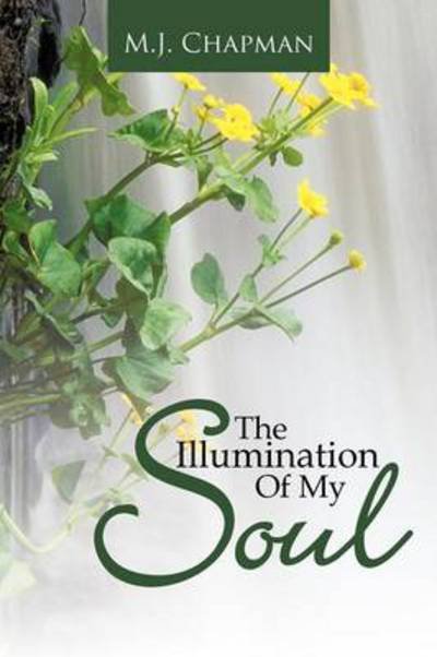 Cover for M J Chapman · The Illumination of My Soul (Pocketbok) (2012)