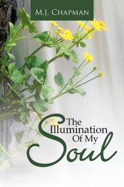 Cover for M J Chapman · The Illumination of My Soul (Pocketbok) (2012)